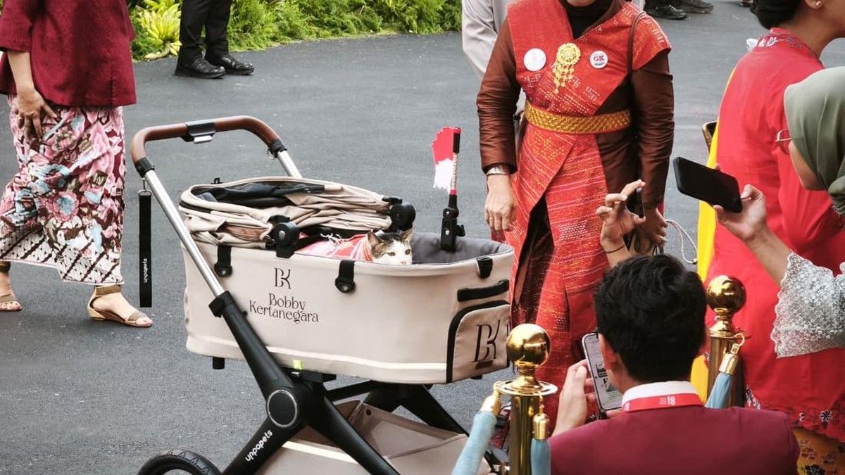Kucing Presiden Prabowo Ikut Upacara Penurunan Bendera HUT ke-81 RI di Istana Merdeka