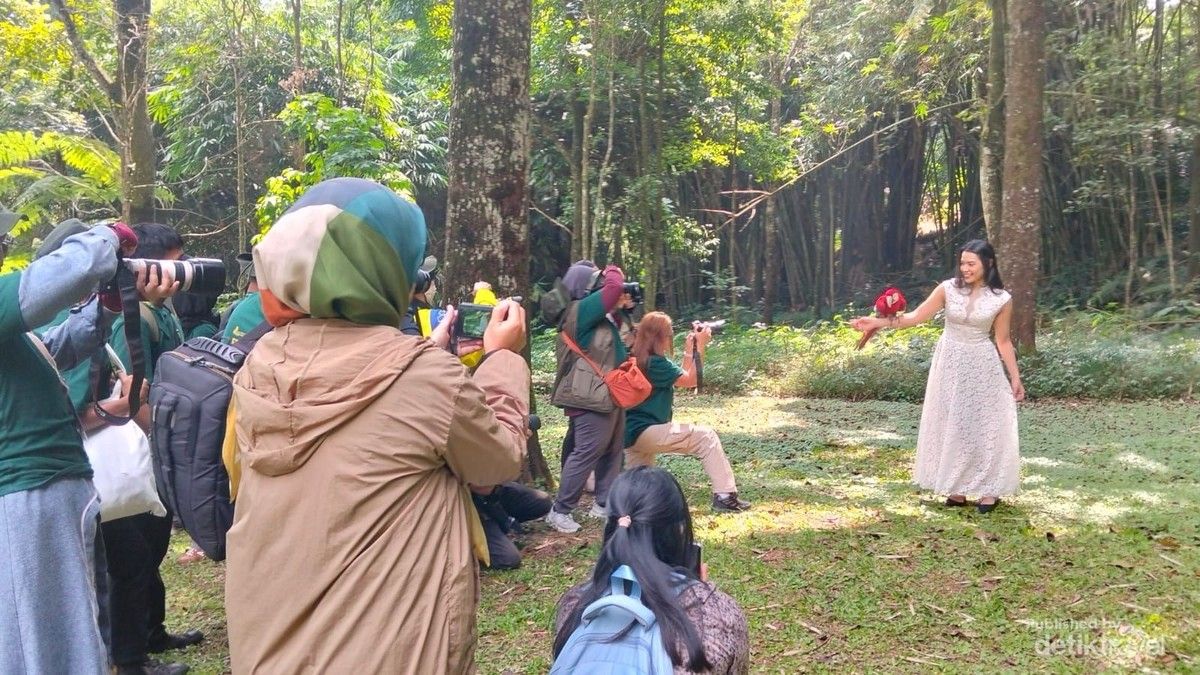 IAPVC 2026 Tampilkan Tips Memotret Satwa dari Para Juri di Bogor