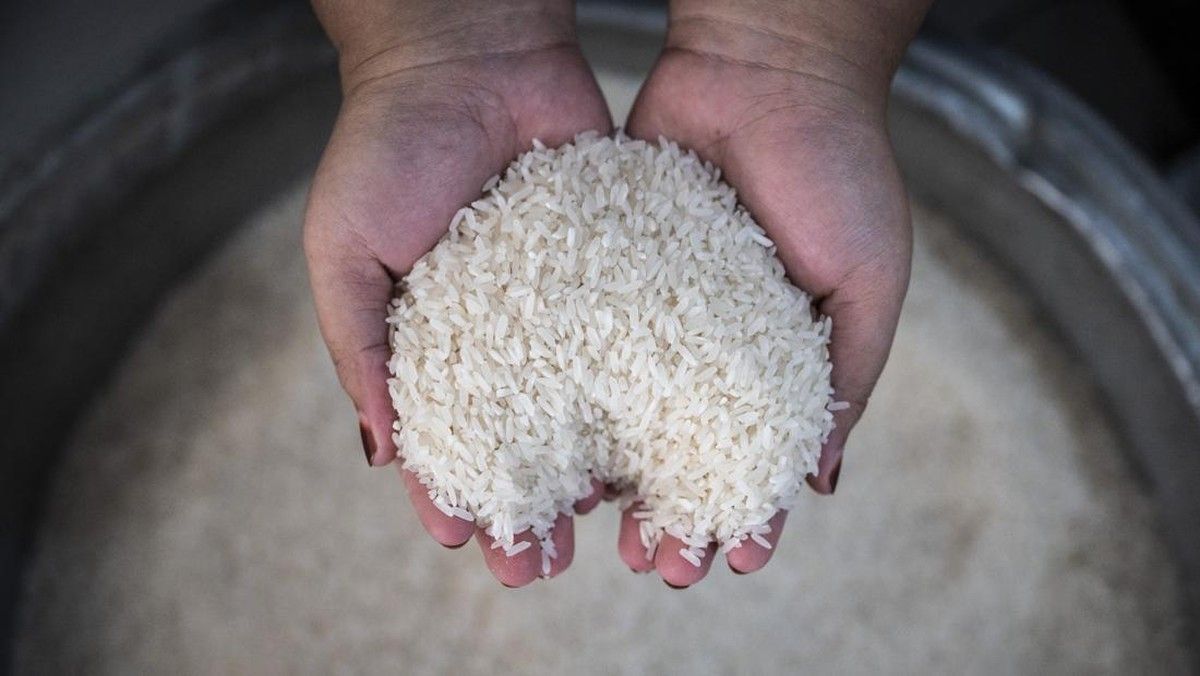 Pemerintah Dalami Harga dan Mutu Beras Fortifikasi di Pasar