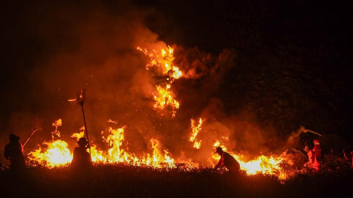 Pemerintah Waspadai Puncak El Nino Godzilla dengan Risiko Karhutla Tinggi