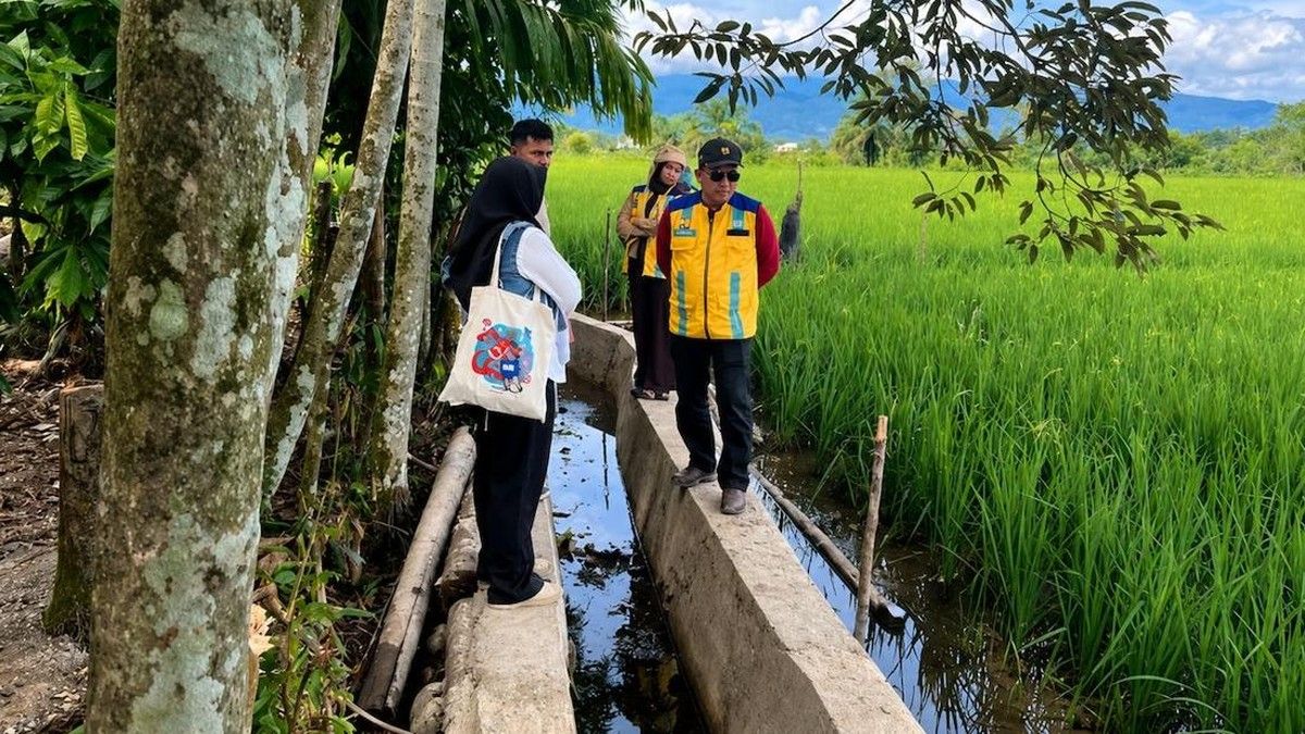 Pemkab Nagan Raya Percepat Pemulihan Lahan Sawah Pasca Bencana