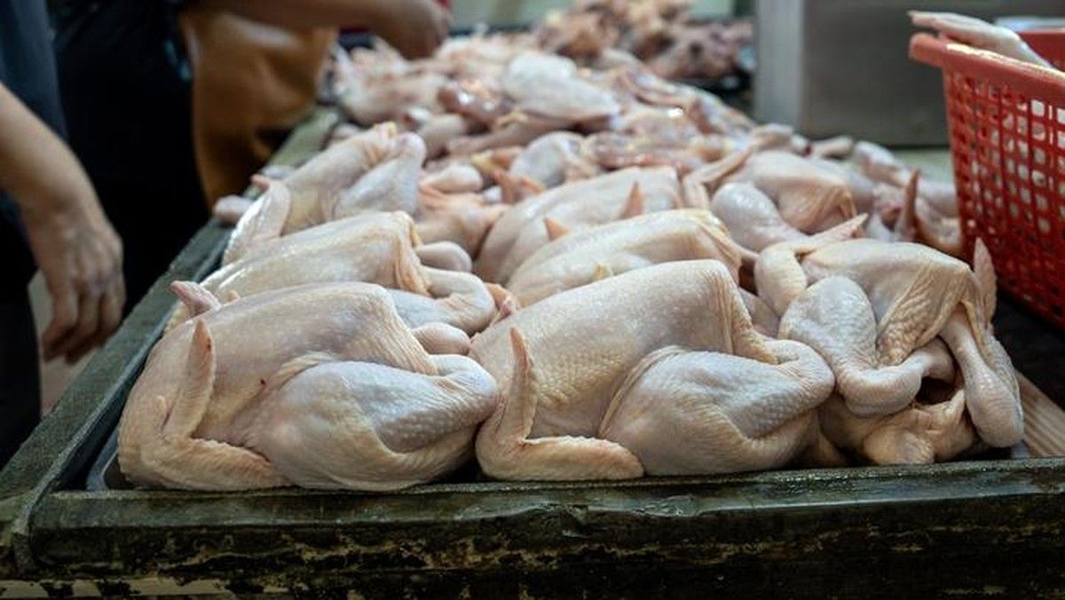 BPS Laporkan Kenaikan Harga Daging Ayam Ras di 188 Kabupaten/Kota