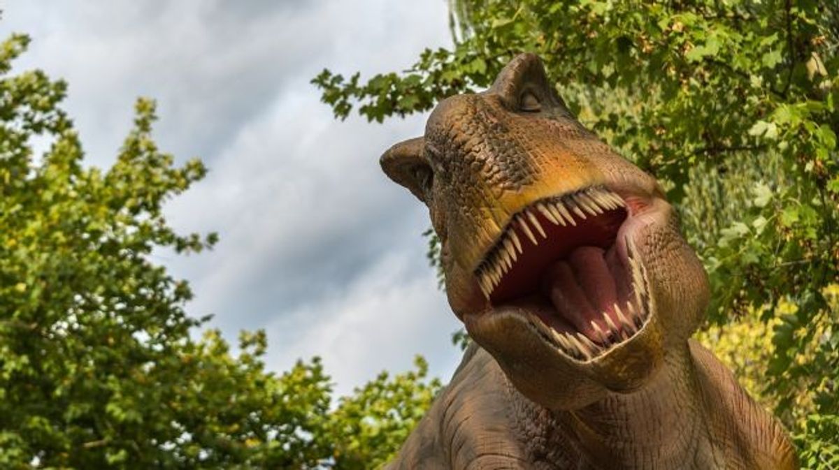 Fosil Bayi T. Rex Buktikan Kemampuan Berburu Sejak Menetas