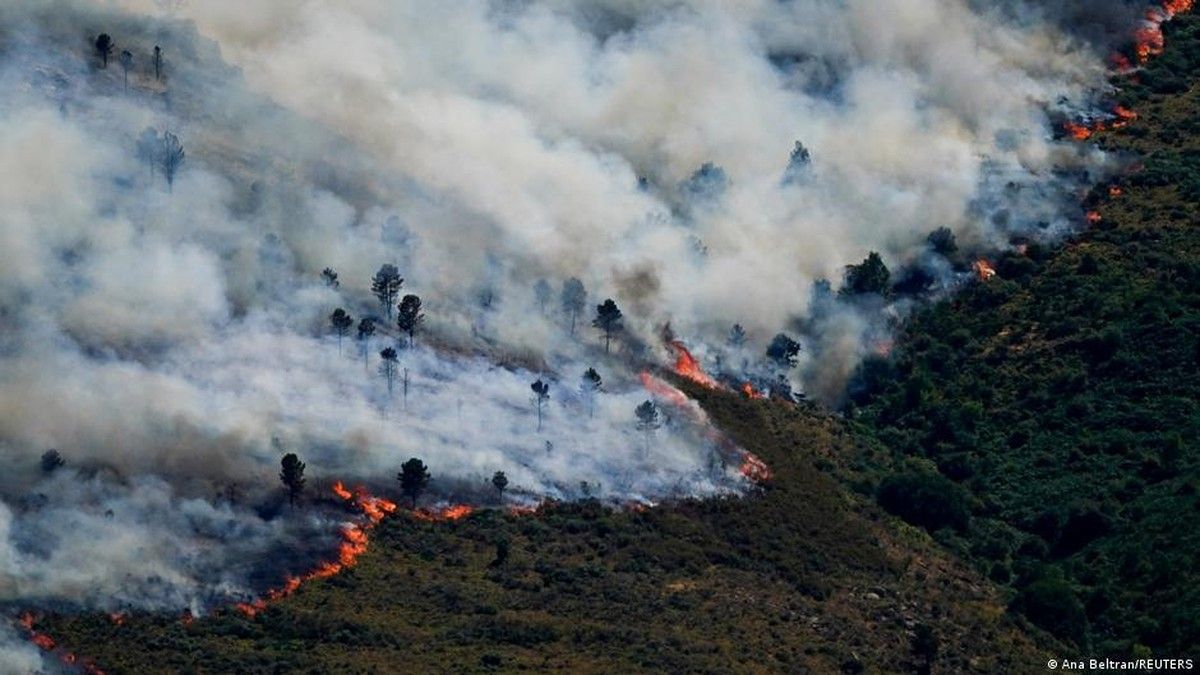 Pemerintah Prancis Imbau Wisatawan Tetap Liburan Meski Kebakaran Hutan Melanda