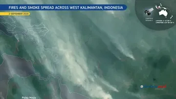Satelit Uni Eropa Deteksi Kebakaran Hutan di Ketapang