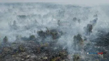 Mengapa Karhutla di Lahan Gambut Sulit Dipadamkan?