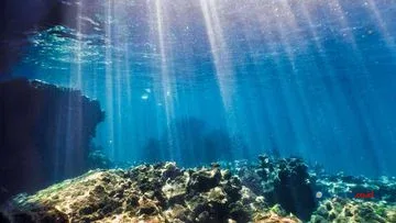 Kotoran Hewan Purba Ubah Ekosistem Laut 540 Juta Tahun Lalu