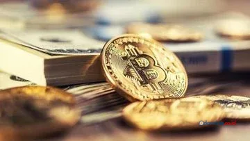 Pemuda Singapura Akui Curi Bitcoin Rp 4,3 T, Rekrut Tim dari Game Online