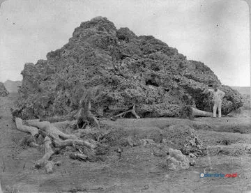 Letusan Krakatau 1883: Bencana Global dan Komunikasi Cepat Abad ke-19