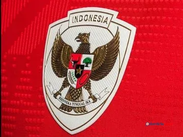 Cedera Hantui Timnas Indonesia Jelang FIFA ASEAN Cup 2026