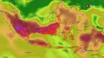 Meta Didesak Transparan Soal Konten Karhutla & AI