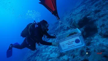 Bangkai Kapal Tertua Dunia Ditemukan di Lepas Pantai Turki