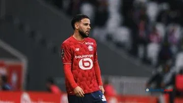 Lille Doakan Indonesia Terdampak Kebakaran Hutan