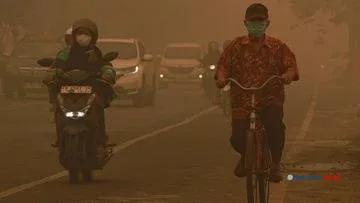 Hujan Lebat Redakan Kabut Asap Karhutla di Kalimantan