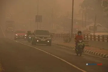 Bahaya Gas Hidrogen Sianida dalam Asap Karhutla Gambut