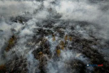 Karhutla Berulang Ubah Ekosistem Jadi Lebih Rentan Terbakar