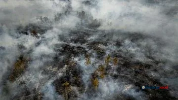 Karhutla di Indonesia: El Nino dan Kompleksitas Bencana Lingkungan