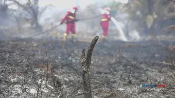Gambut Indonesia: Pembentukan, Ancaman Karhutla, dan Konservasi
