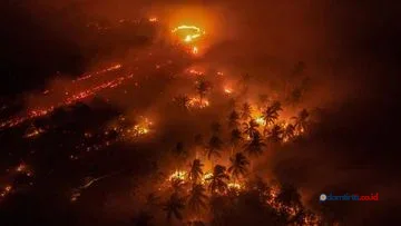 Kebakaran Hutan: Ancaman Ganda bagi Daratan dan Ekosistem Air